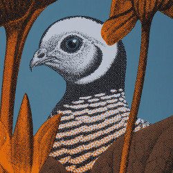 Detail of the screen printing of the Brown Guinea Fowl